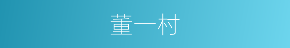 董一村的同义词
