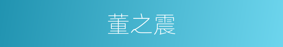 董之震的同义词