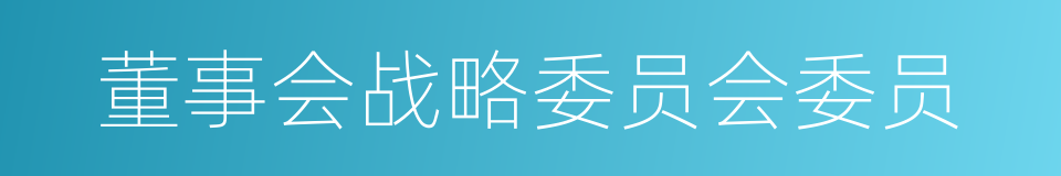 董事会战略委员会委员的同义词