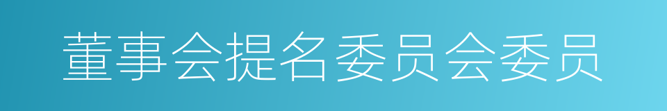 董事会提名委员会委员的同义词