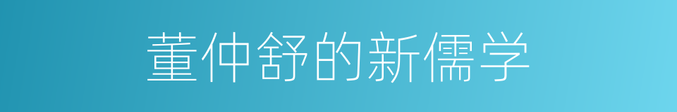 董仲舒的新儒学的同义词