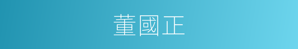 董國正的同義詞