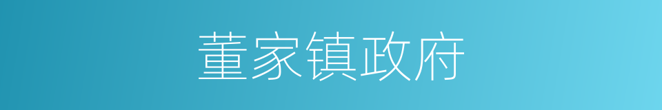 董家镇政府的同义词
