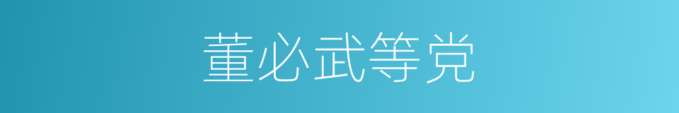 董必武等党的同义词