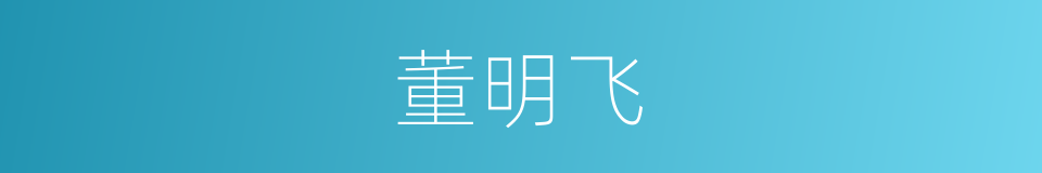 董明飞的同义词