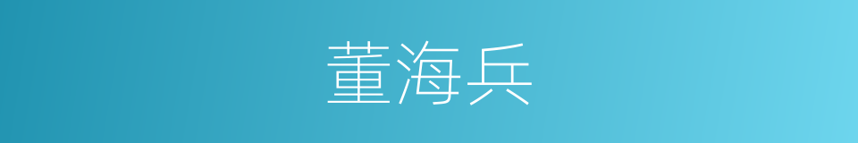 董海兵的同义词