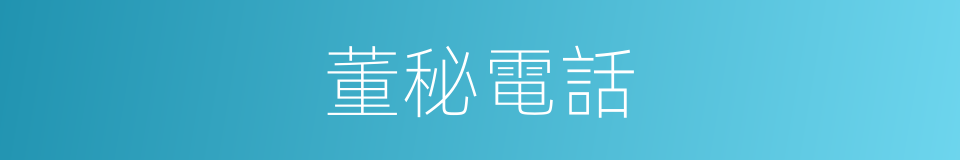 董秘電話的同義詞