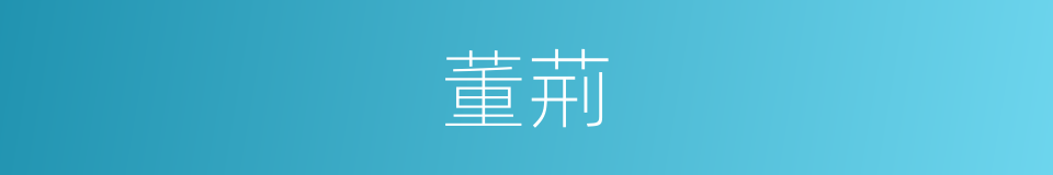 董荊的同義詞