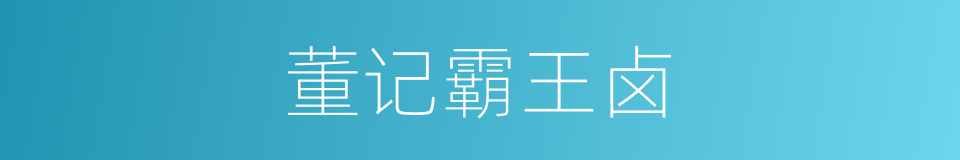 董记霸王卤的同义词