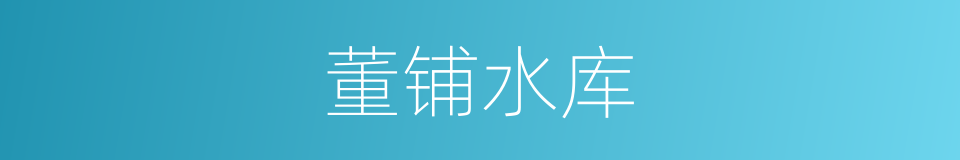 董铺水库的同义词