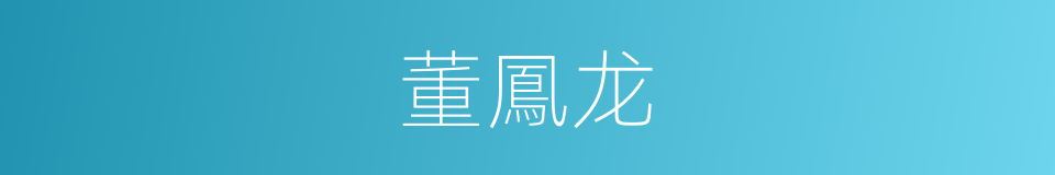 董鳳龙的同義詞