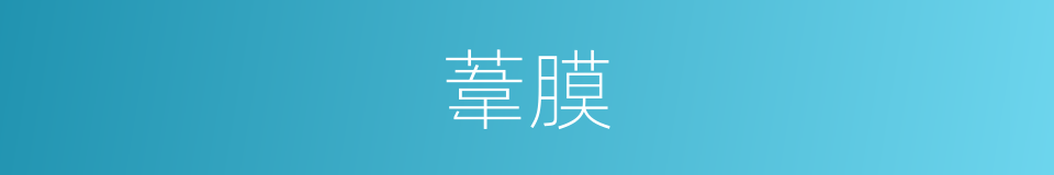葦膜的同義詞