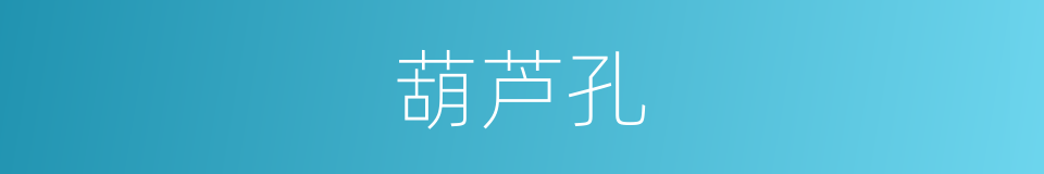 葫芦孔的同义词