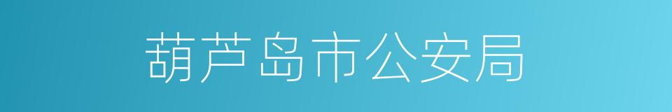 葫芦岛市公安局的同义词