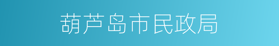 葫芦岛市民政局的同义词