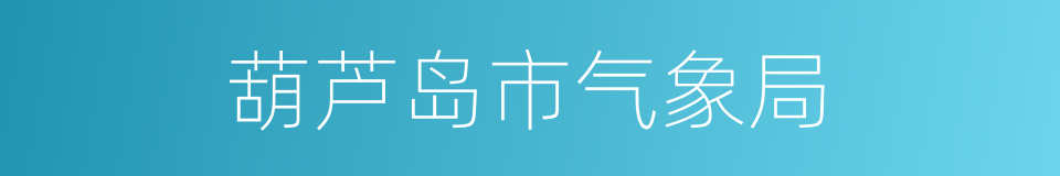 葫芦岛市气象局的同义词