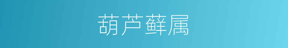 葫芦藓属的同义词