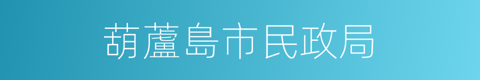 葫蘆島市民政局的同義詞