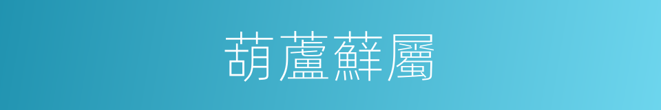 葫蘆蘚屬的同義詞
