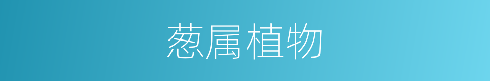 葱属植物的同义词