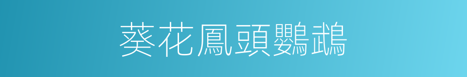 葵花鳳頭鸚鵡的同義詞