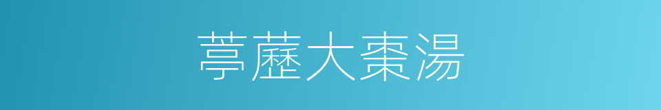 葶藶大棗湯的同義詞