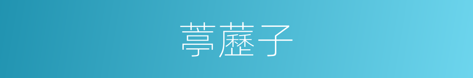 葶藶子的同義詞