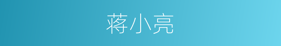 蒋小亮的同义词