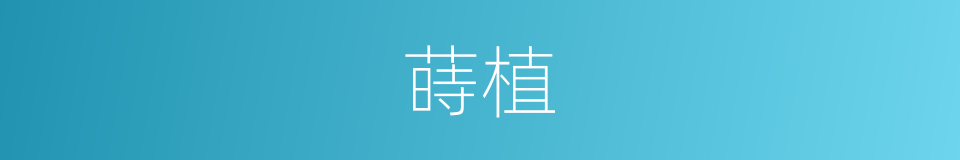 蒔植的同義詞