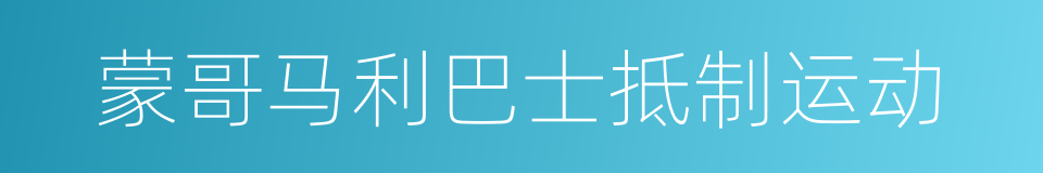 蒙哥马利巴士抵制运动的同义词