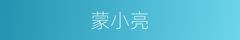 蒙小亮的同义词