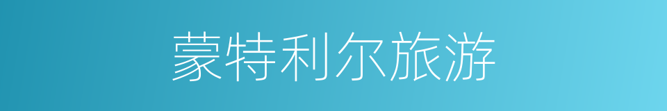 蒙特利尔旅游的同义词