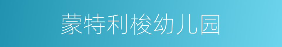蒙特利梭幼儿园的同义词