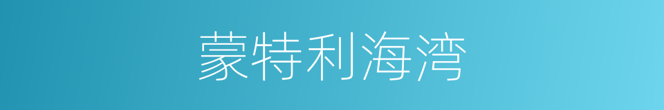 蒙特利海湾的同义词