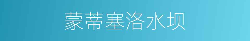 蒙蒂塞洛水坝的同义词