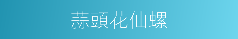 蒜頭花仙螺的同義詞