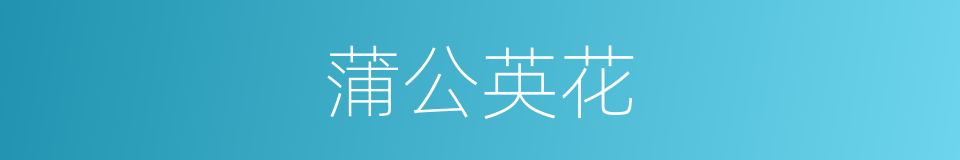 蒲公英花的同义词