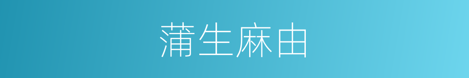 蒲生麻由的同义词
