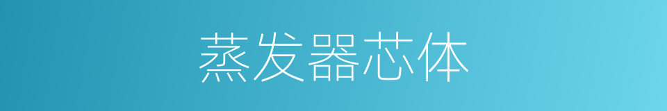 蒸发器芯体的同义词