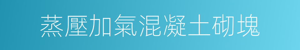 蒸壓加氣混凝土砌塊的同義詞