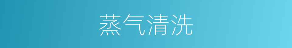 蒸气清洗的同义词