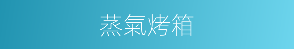 蒸氣烤箱的同義詞