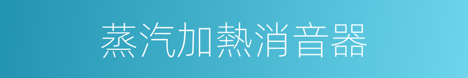 蒸汽加熱消音器的同義詞