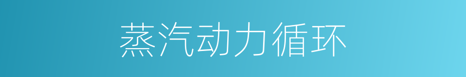 蒸汽动力循环的同义词