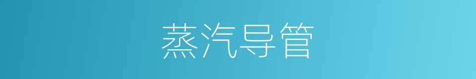 蒸汽导管的同义词