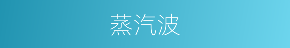 蒸汽波的意思