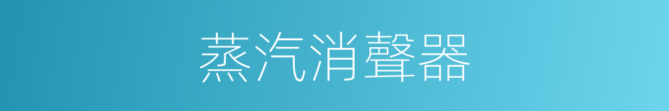 蒸汽消聲器的同義詞