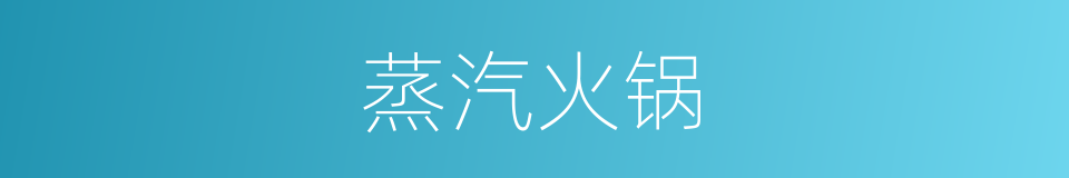 蒸汽火锅的同义词