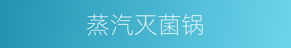 蒸汽灭菌锅的同义词