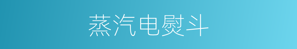 蒸汽电熨斗的同义词